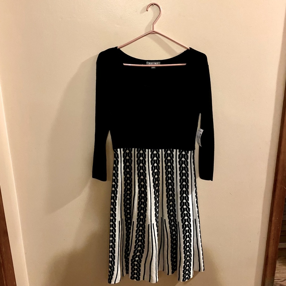 Winter Style Dress